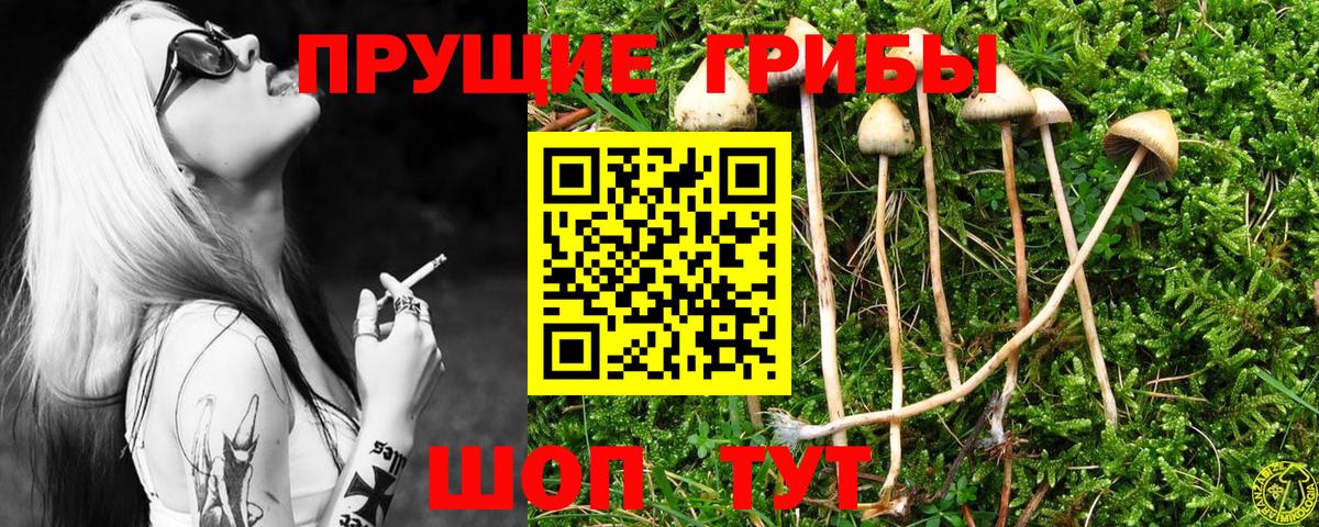 Галлюциногенные грибы мухоморы Киселёвск