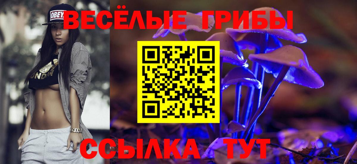 Псилоцибиновые грибы Magic Shrooms  Вход с VPN  Киселёвск 